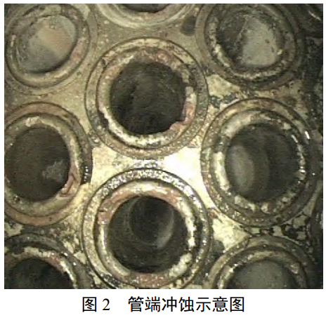 截圖20241231222825.png